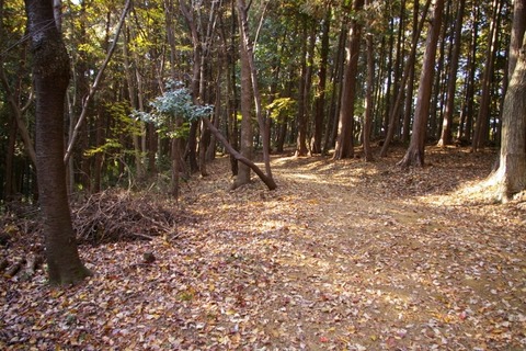 IMGP0040 (640x427)