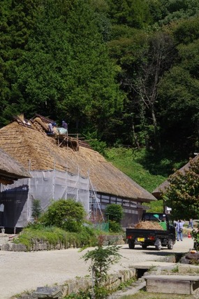 IMGP2450 (カスタム)