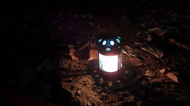 イメージ 26