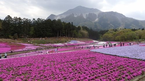 イメージ 7