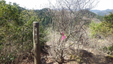 IMGP1096 (640x360)