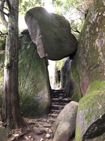 IMG_6646 (カスタム)