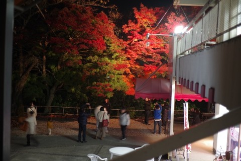 IMGP2933 (カスタム)