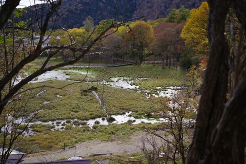 IMGP2664 (カスタム)