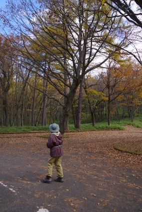 IMGP2574 (カスタム)