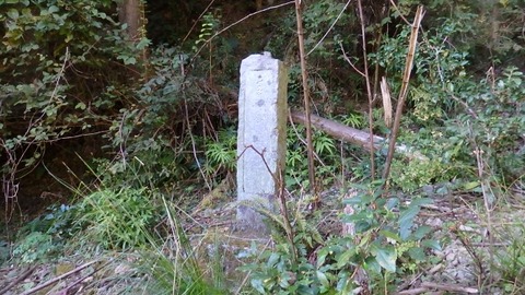 PB080144 (640x360)
