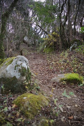 IMGP0275 (427x640)