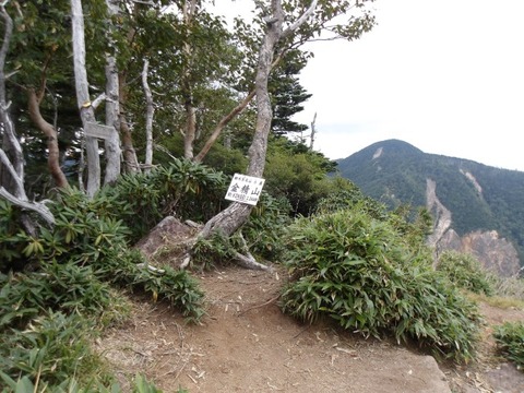 100_0265 (カスタム)