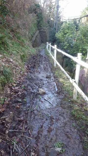 IMGP1059 (360x640)