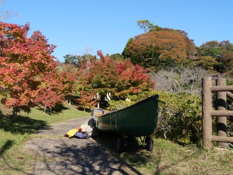 P1002383 (カスタム)