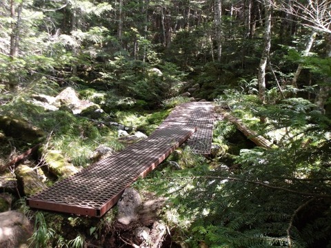 100_0117 (カスタム)