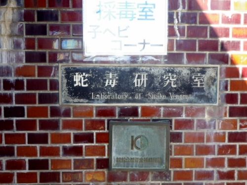 イメージ 16