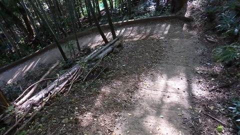 PB080226 (640x360)