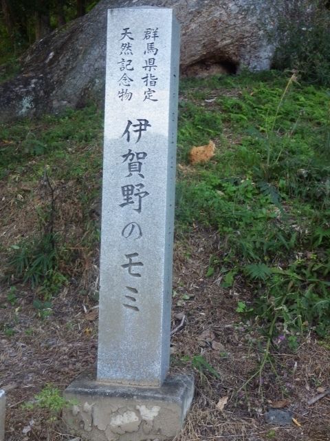 イメージ 5