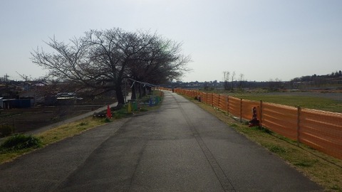IMGP1045 (640x360)