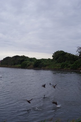 IMGP0800 (427x640)