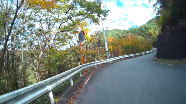 イメージ 7