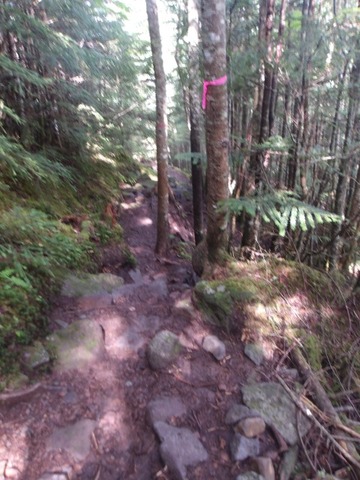 100_0191 (カスタム)