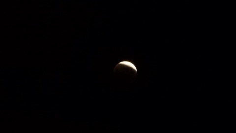 PB080305 (640x360)