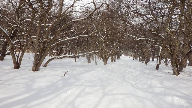 イメージ 3