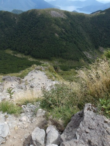 100_0236 (カスタム)