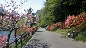 イメージ 15