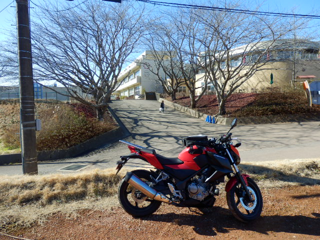 イメージ 13