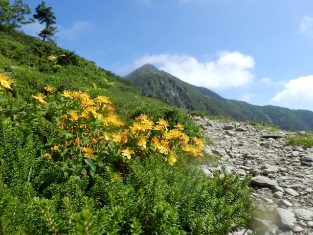 イメージ 19