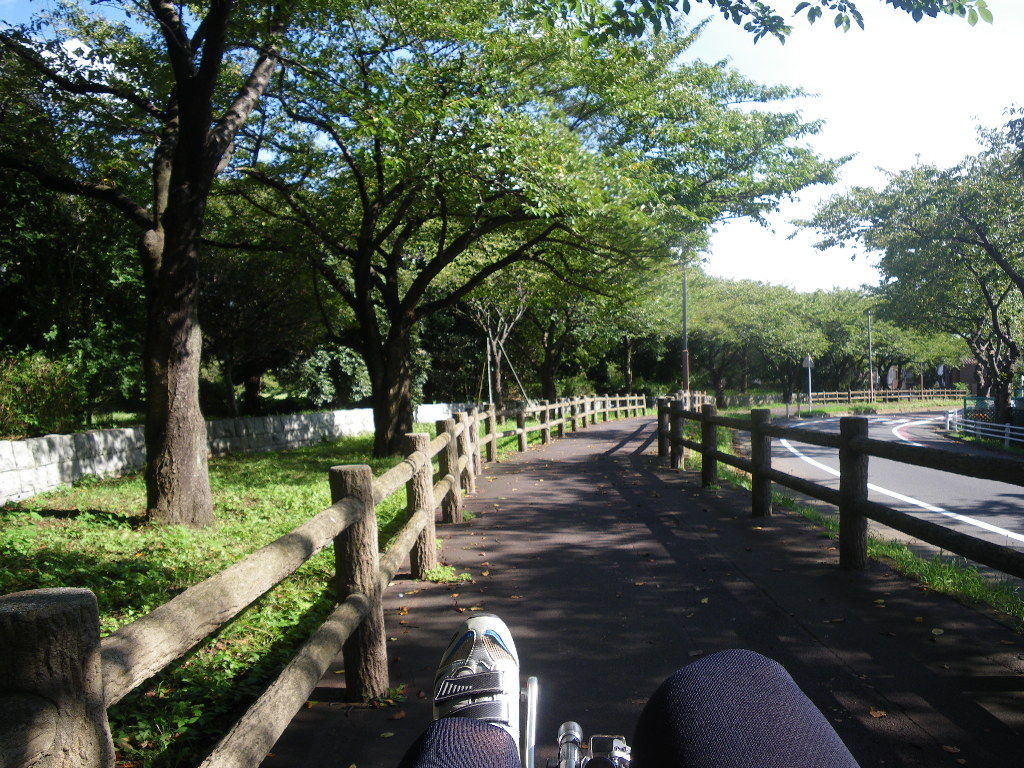 イメージ 1