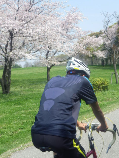 イメージ 4