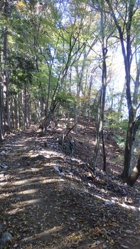 PB080172 (360x640)