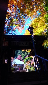 PB080162 (360x640)