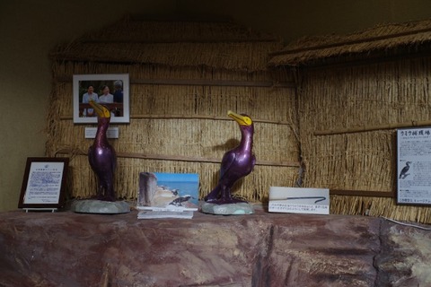 IMGP2785 (カスタム)