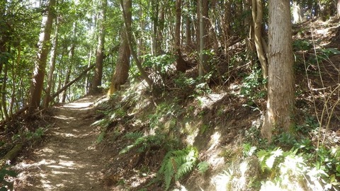 IMGP1098 (640x360)