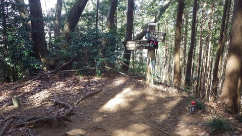 IMGP1099 (640x360)