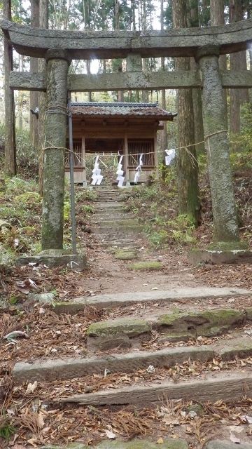 イメージ 15