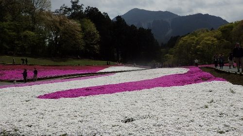 イメージ 15