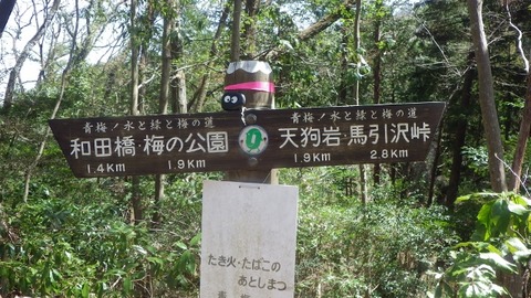 IMGP1103 (640x360)