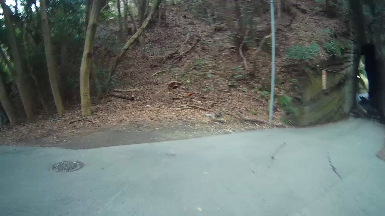 イメージ 35