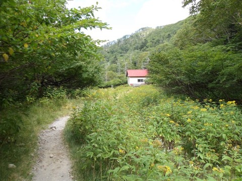 100_0241 (カスタム)