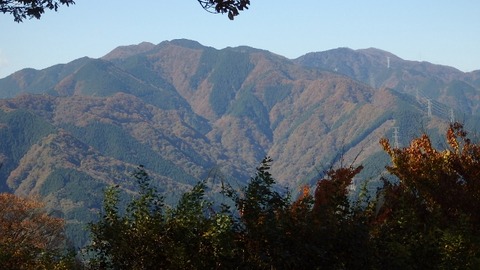 PB080182 (640x360)
