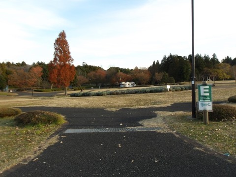 100_0136 (カスタム)