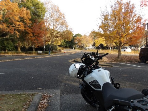 100_0128 (カスタム)