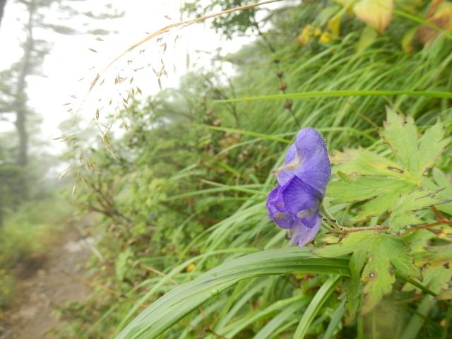 イメージ 16