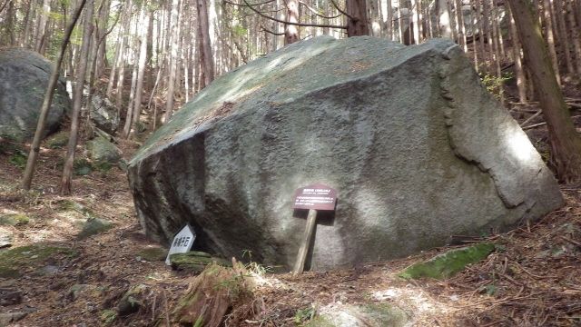イメージ 8