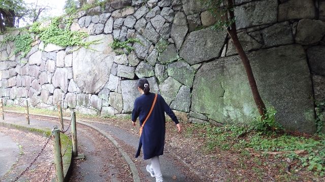 イメージ 27