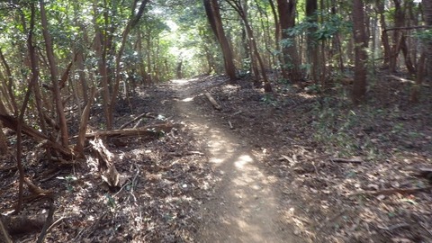 IMGP1184 (640x360)