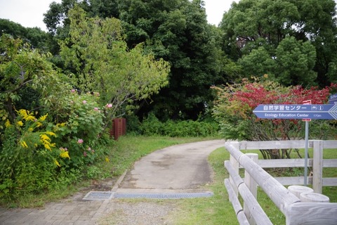 IMGP0814 (640x427)