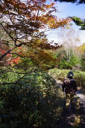 IMGP2597 (カスタム)