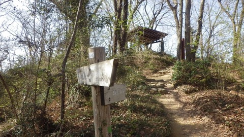 IMGP1054 (640x360)